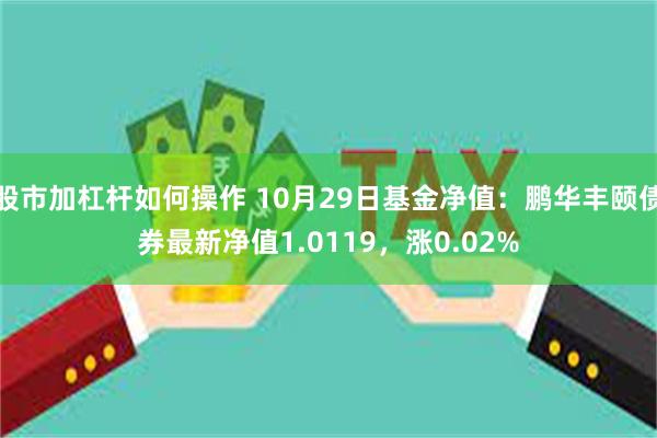 股市加杠杆如何操作 10月29日基金净值：鹏华丰颐债券最新净值1.0119，涨0.02%