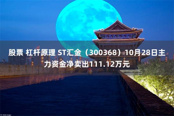 股票 杠杆原理 ST汇金（300368）10月28日主力资金净卖出111.12万元