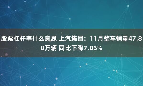 股票杠杆率什么意思 上汽集团：11月整车销量47.88万辆 同比下降7.06%