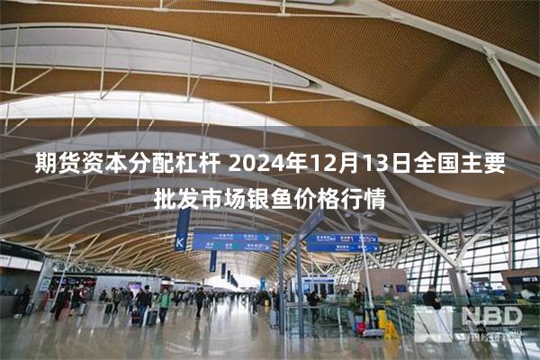 期货资本分配杠杆 2024年12月13日全国主要批发市场银鱼价格行情