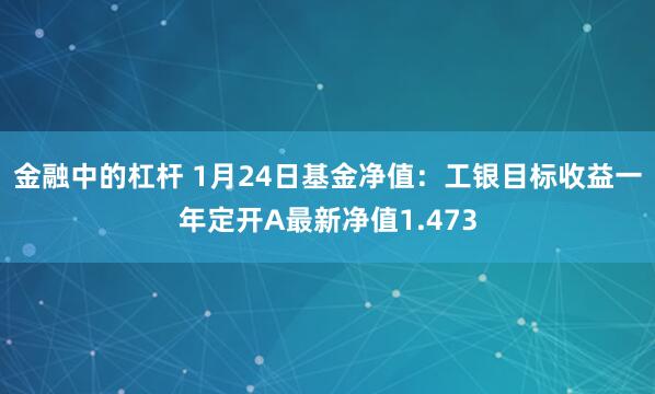 金融中的杠杆 1月24日基金净值：工银目标收益一年定开A最新净值1.473