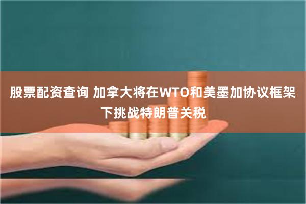 股票配资查询 加拿大将在WTO和美墨加协议框架下挑战特朗普关税